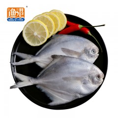 渔港渤海白鲳鱼500g/袋*20袋/箱