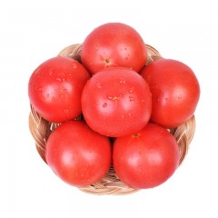 西红柿 番茄 /斤