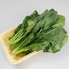 菠菜（通货）/斤