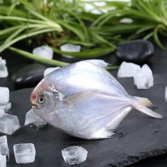 鲜鲳鱼（小 100g)/斤